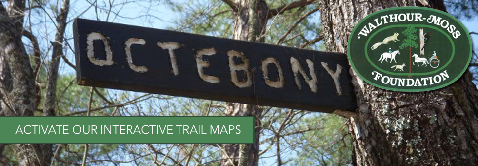 slide trail maps