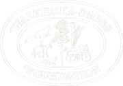 logofortop