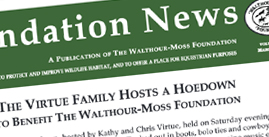 newsletter tile